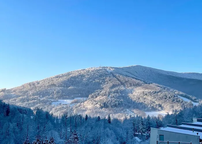 Gwarek Centrum Wypoczynkowe 3* Ustroň