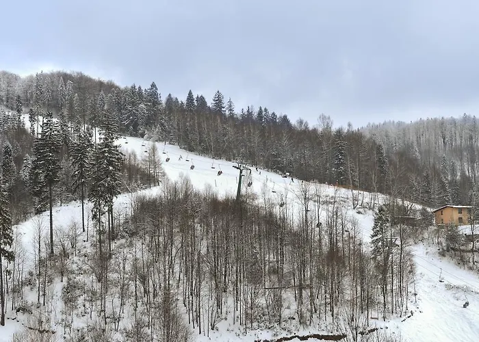 Gwarek Centrum Wypoczynkowe